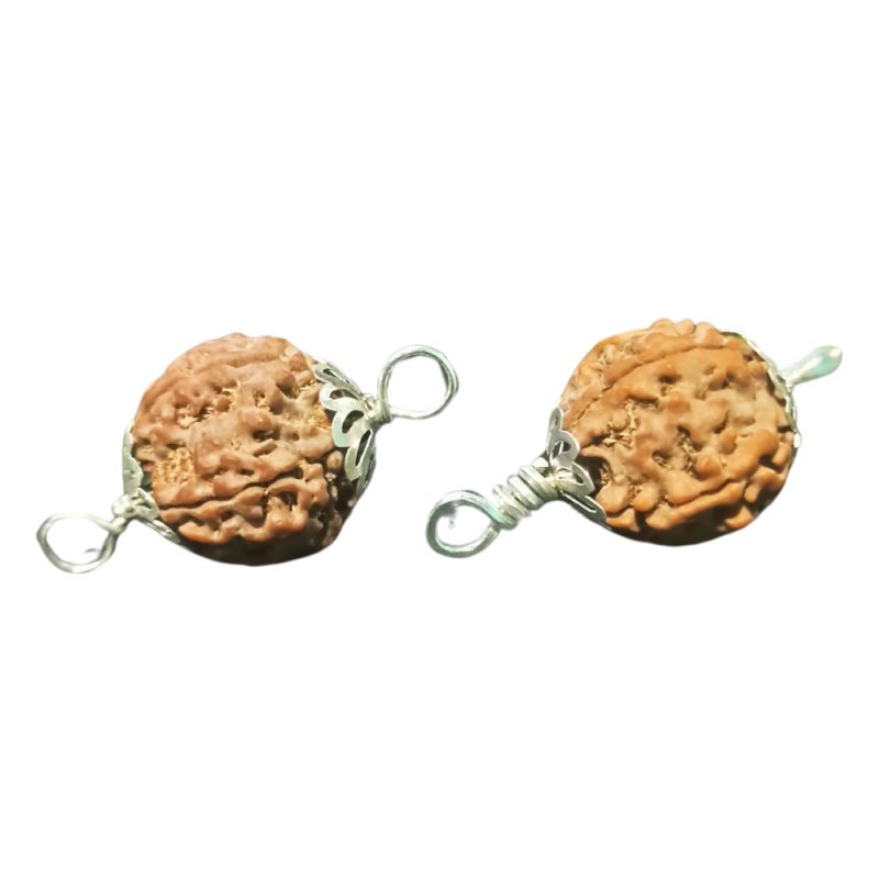 Five Face Rudraksha