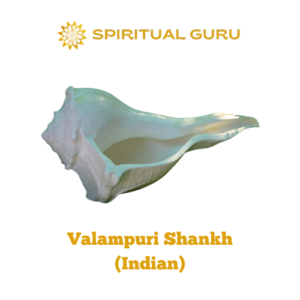 VALAMPURI SANGU SPIRITUALGURU
