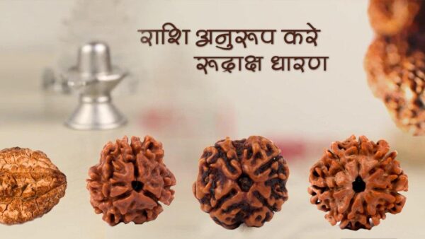 rudraksha