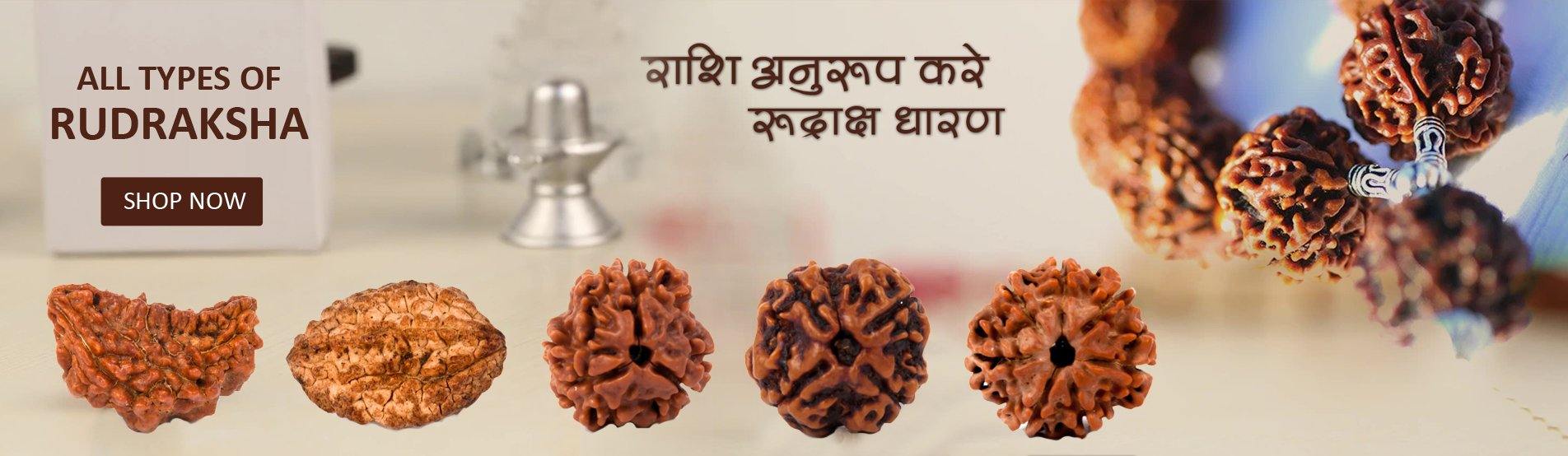 rudraksha