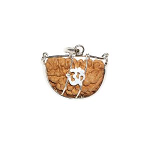 1 mukhi rudraksha Moon Shape