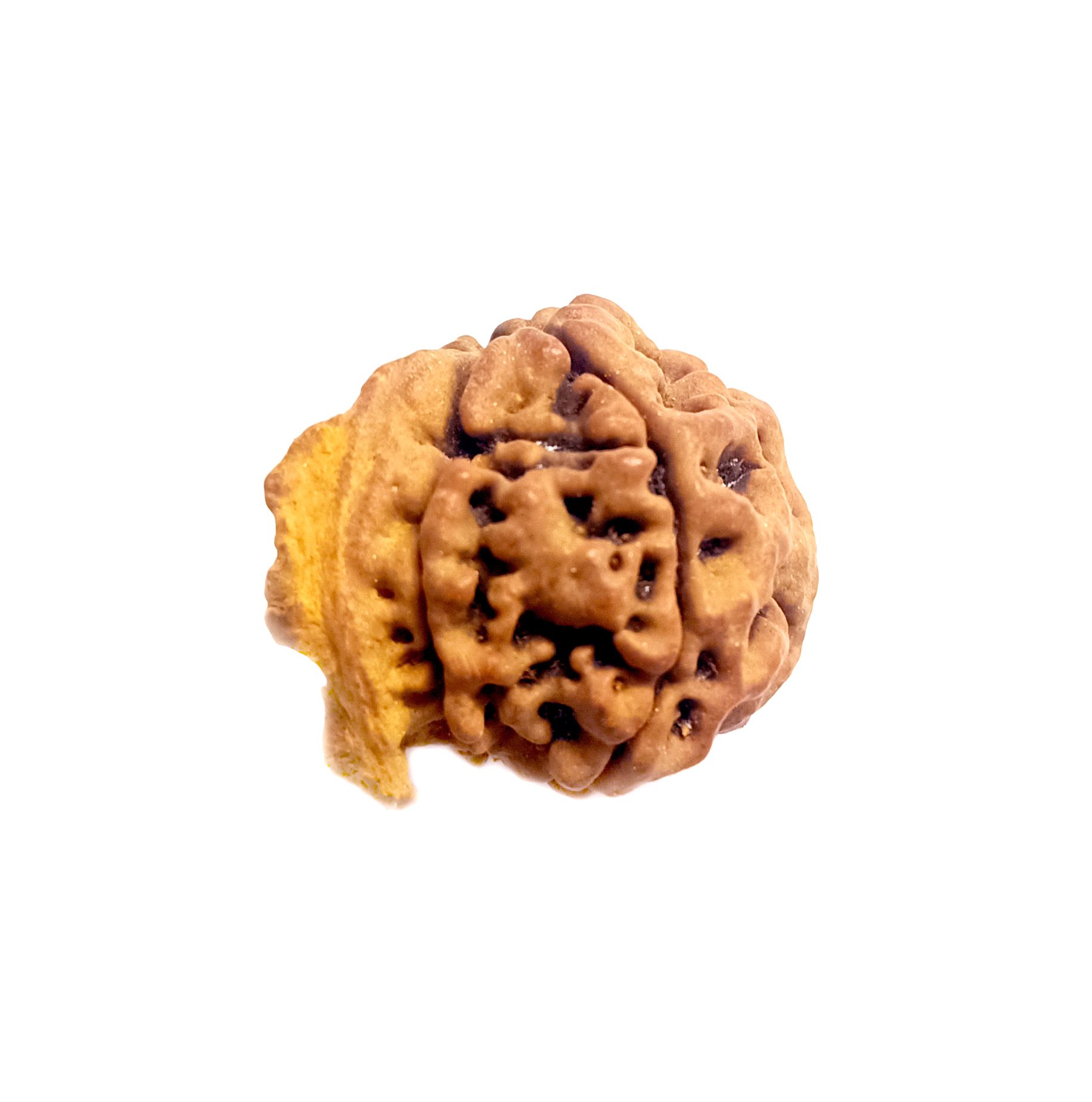 Ganesh-Rudraksha