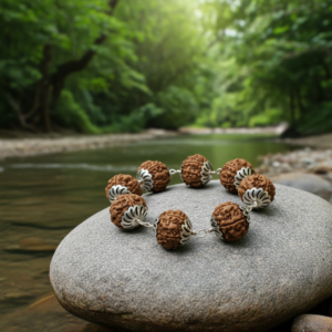 Rudraksha Silver Bracelet