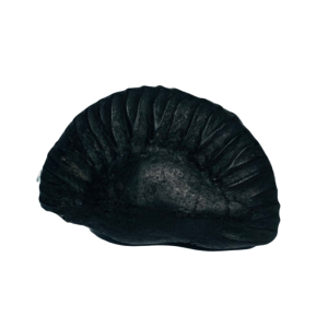 matsya shaligram