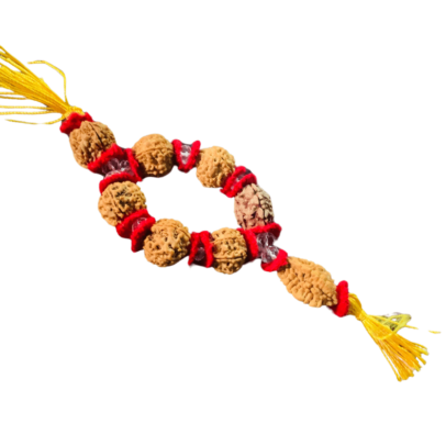 Brahmand Rudraksha