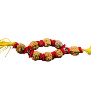 Brahmand Rudraksha spiritualguru