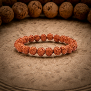 2mukhi rudraksha bracelet spiritualguru