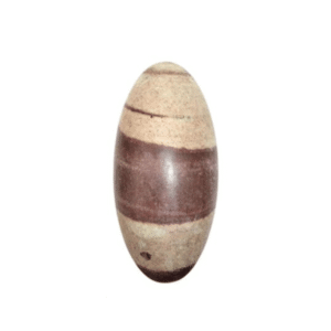 narmadesh shiva lingam